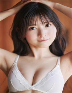 《阵容》