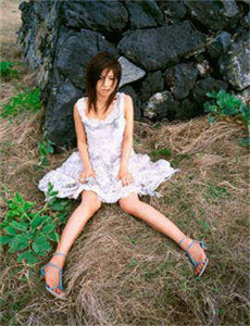 《手机免费看赘婿电视剧全集》
