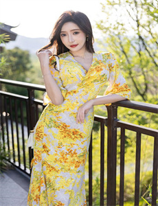 《女总裁的贴身高手2》