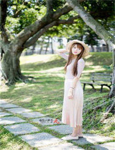 《山寨大黄蜂》